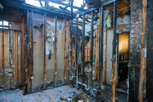 Professional Odor Removal technician working in Mont Belvieu, TX